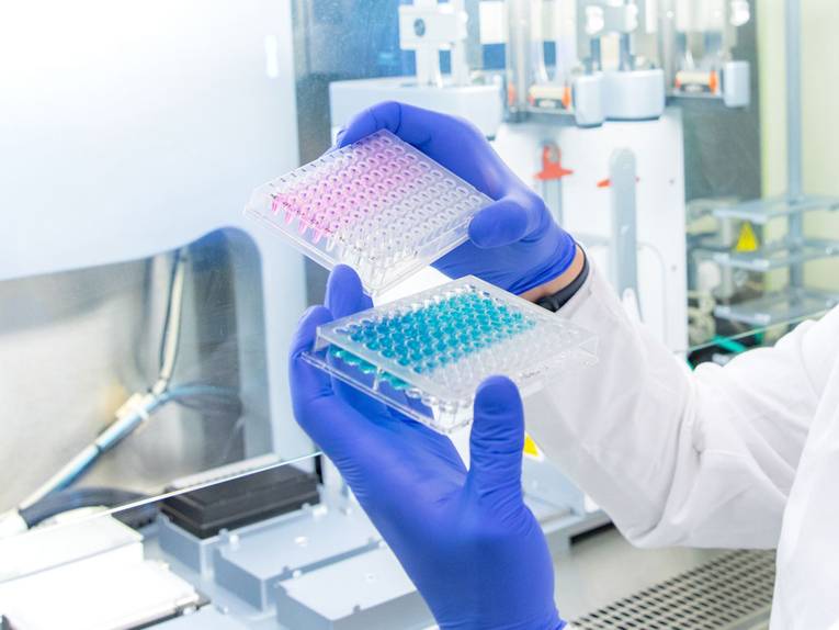 Hände in blauen Schutzhandschuhen halten zwei Mikropipettierplatten vor einem Pipettierroboter.