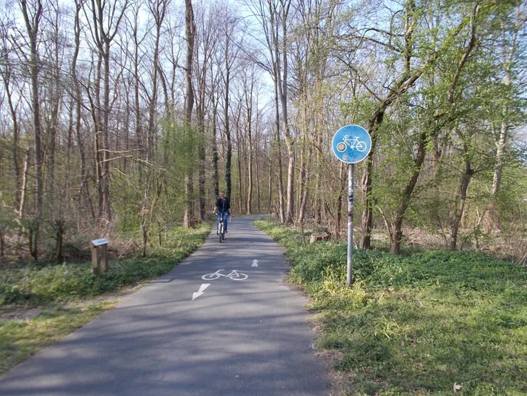 Verschiedene Bilder des Streckenverlaufes der Veloroute 3.