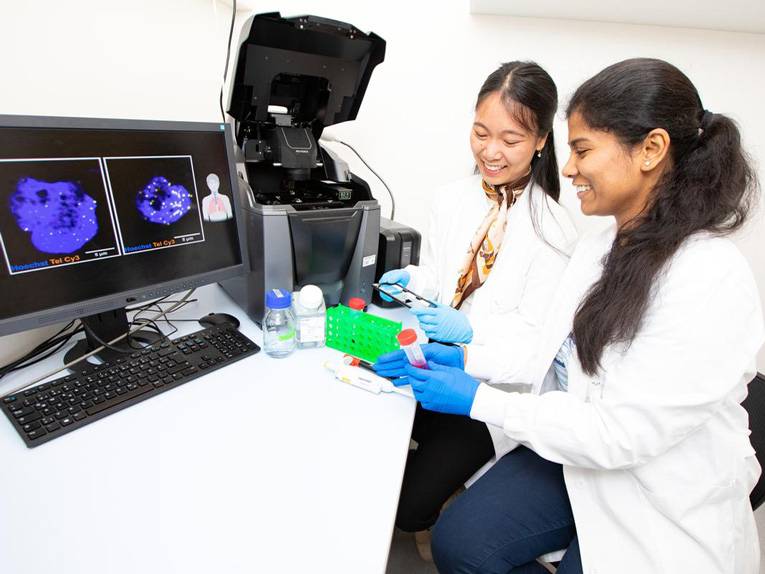 zwei Forscherinnen sitzen am Schreibtisch und werten ihre Ergebnisse aus