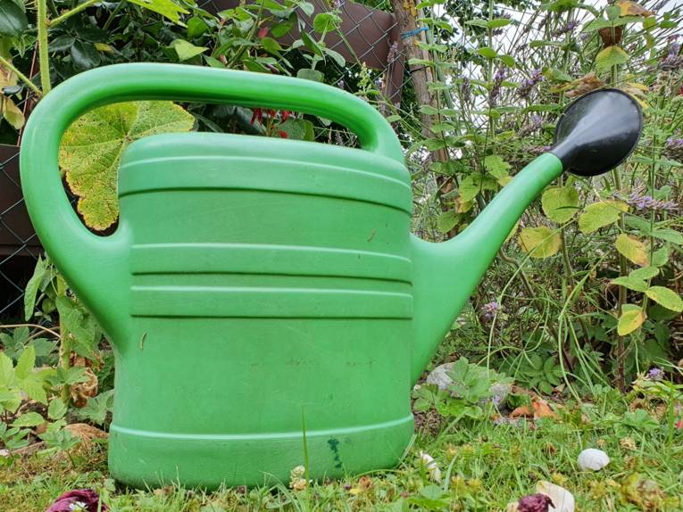 Große Kunststoffgießkanne vor einem Blumenbeet stehend