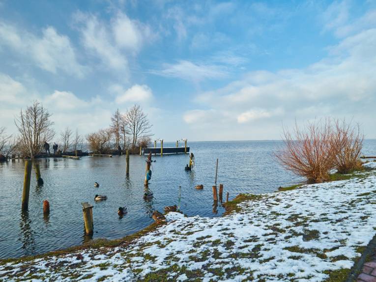 Steinhuder Meer im Winter