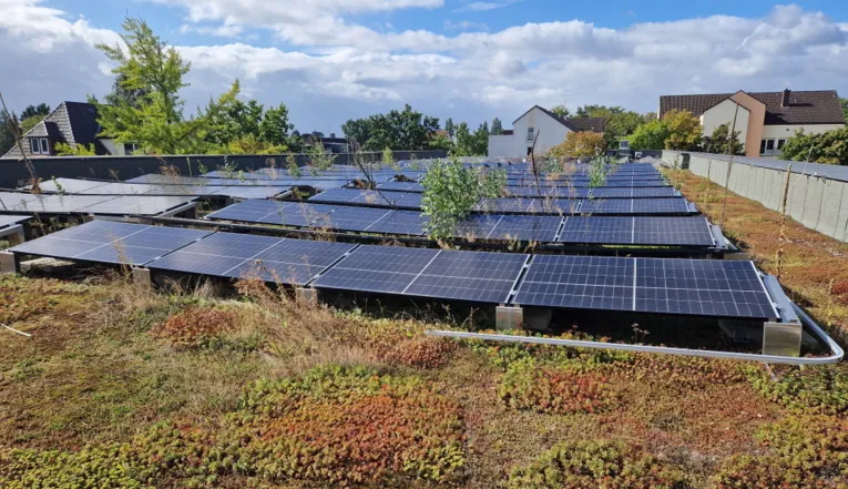 Besichtigung der Solaranlage auf dem Dach der Grundschule In der Steinbreite