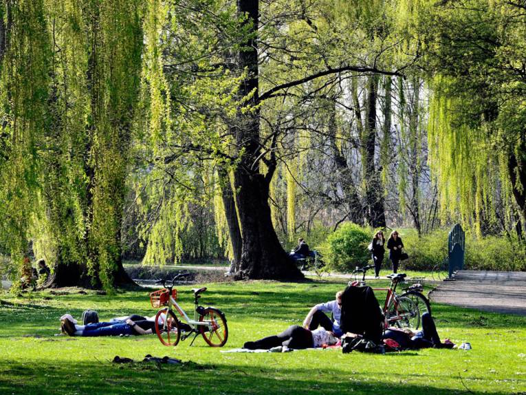 Menschen auf einer grünen Wiese, um sie herum grüne Bäume bei sommerlicher Stimmung.