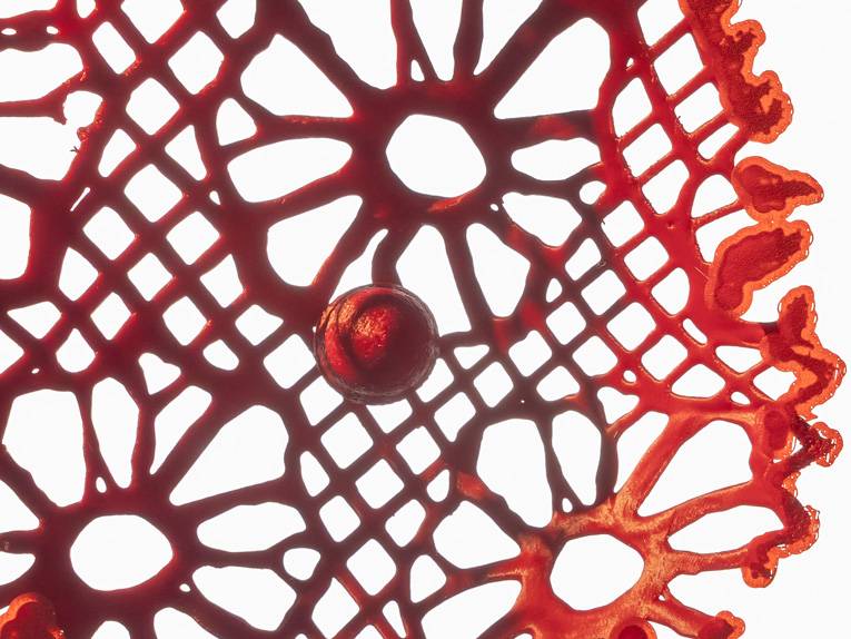Nahaufnahme eines rotes Spitzenmusters