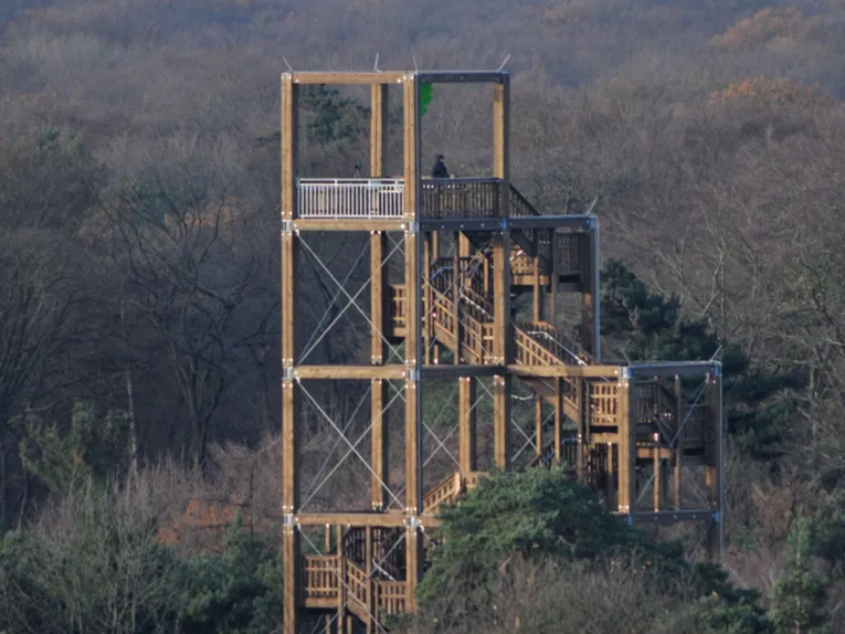 Das Wald-Hochhaus in der Waldstation Eilenriede