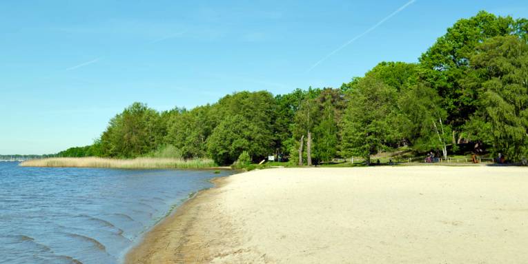 Sandstrand, dahinter Bäume