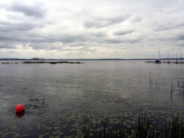 Blick auf das Steinhuder Meer, über Seerosen hinweg und an einer Boje vorbei. Im Hintergrund rechts ist ein Steg mit Segelbooten, links ist in der Ferne ein Kaliberg.