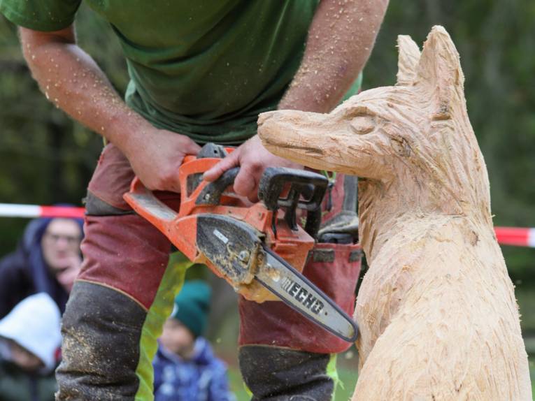 Ein Mann, der mit einer Motorsäge aus einem Stück Holz einen Fuchs macht.