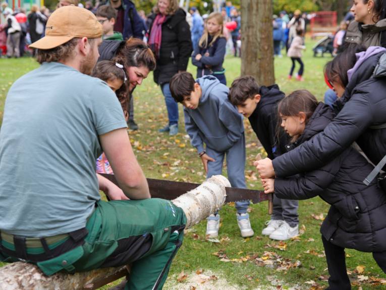 Kinder, die einen Baumstamm durchsägen.