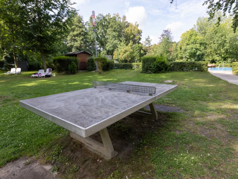 Tischtennisplatte mit Rasenfl&auml;che und Liegest&uuml;hlen, im Hintergrund ein Schwimmbecken