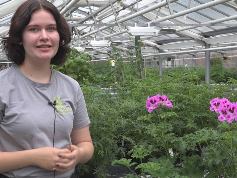 Roberta Eggers, Berggarten