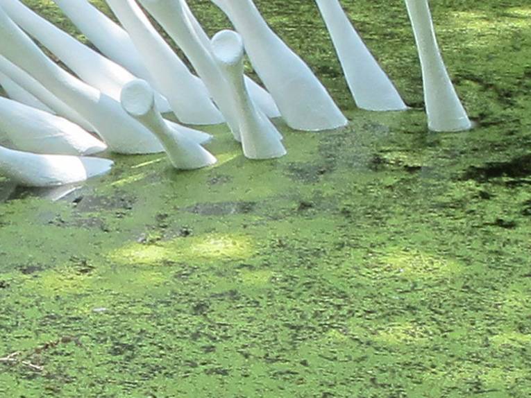 Eine Kunstinstallation in einem Teich