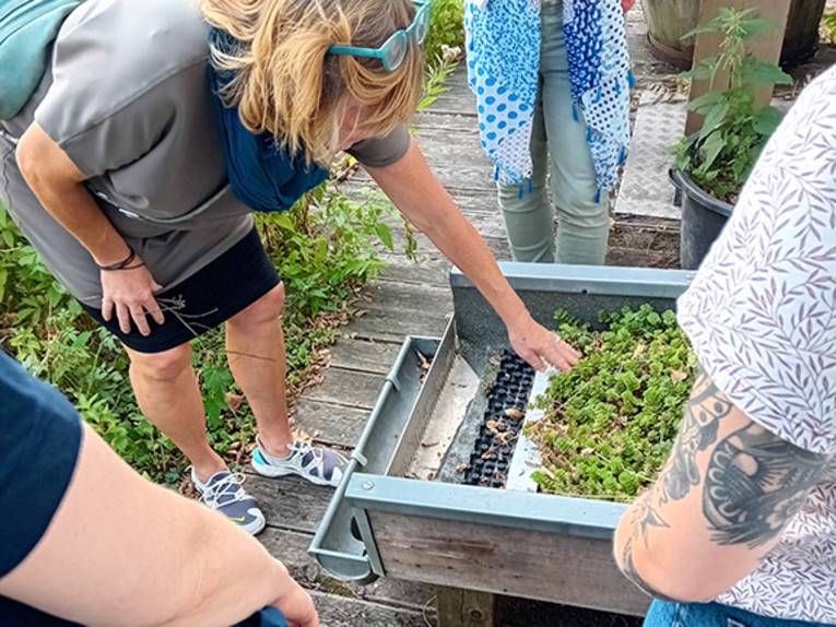 Vier Personen um ein kleines Beet.