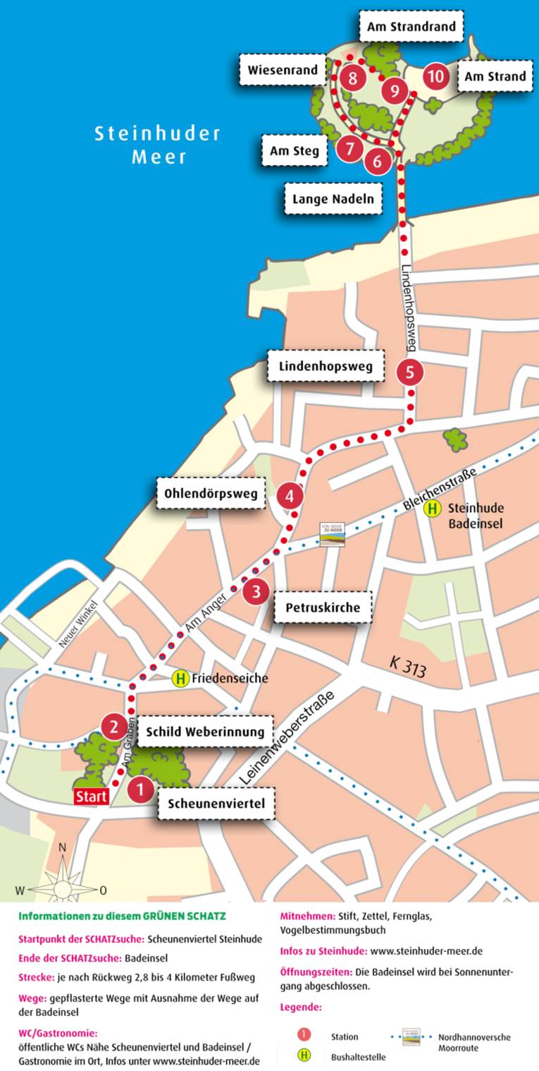 Vorschau auf den gr&uuml;nen Schatz