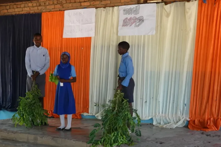 Sch&uuml;ler*innen des Limbe Wildlife Clubs erl&auml;utern die Bedeutung von B&auml;umen.