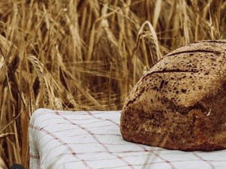 Ein Brot auf einem Tisch. Im Hintergrund ein Kornfeld.