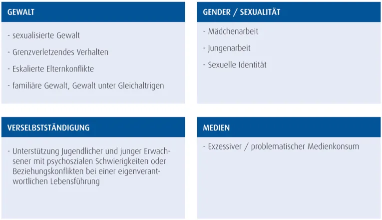 Themenfelder Fachberatungsstellen