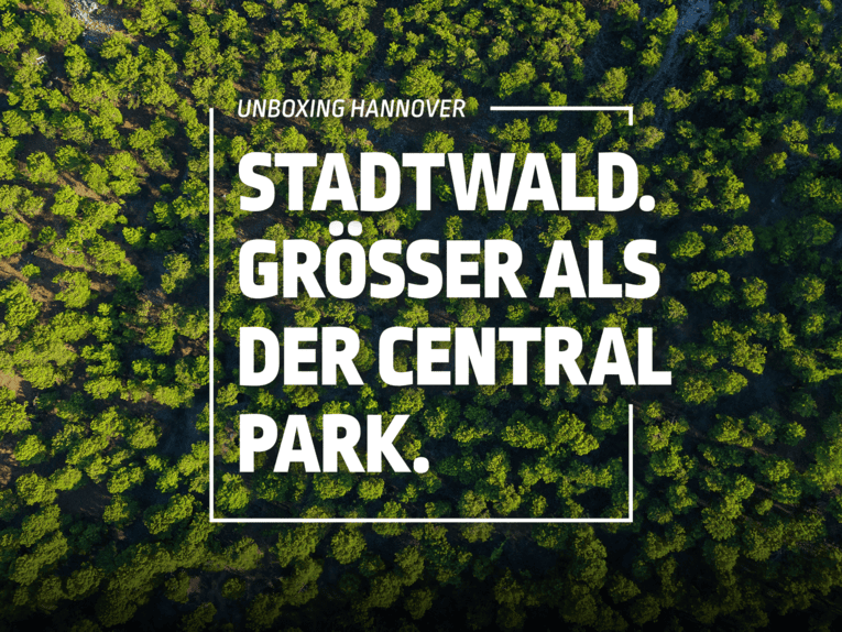 Eilenriede - größer als der Central Park