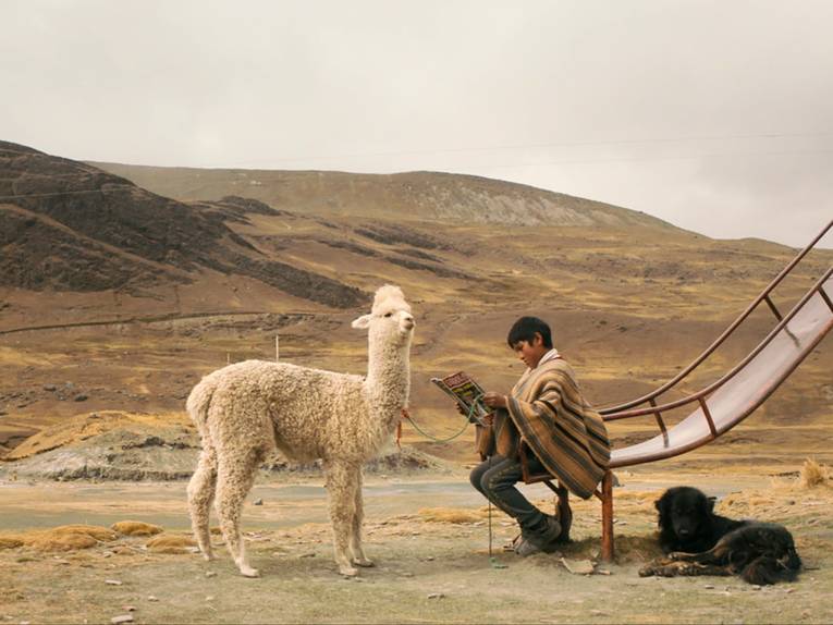 Ein Junge sitzt unten auf einer Rutsche. Vor ihm steht ein Alpaka, und der Rutsche liegt ein weiteres. Im Hintergrund Berge