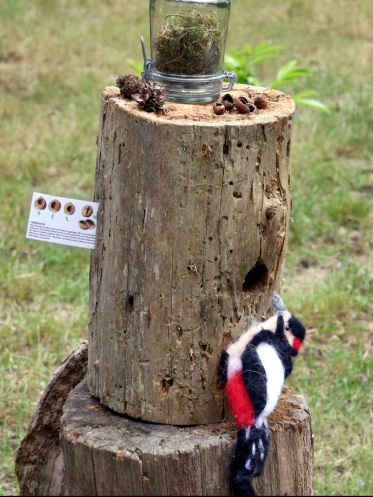 Ein Stofftier in Form eines Buntspechts an einem Baumstamm ohne Rinde. Das Holz ist l&ouml;chrig.