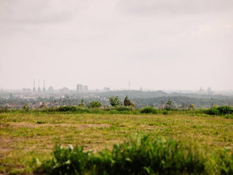 Eine grüne Wiese mit ein paar Büschen, im Hintergrund der Horizont mit Blick auf die Stadt Hannover.