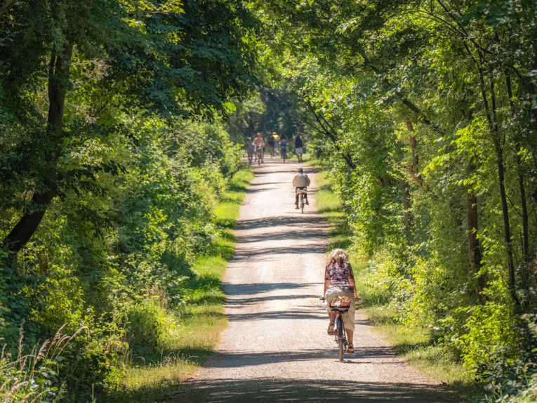 Ein schattiges Pl&auml;tzchen im Gr&uuml;nen.
