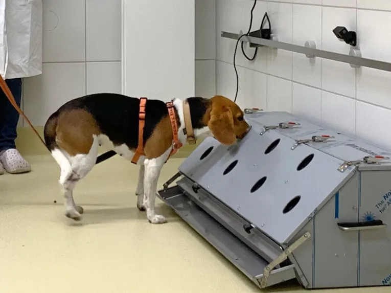 Ein Hund schnüffelt in eine Öffnung eines länglichen, silbergrauen Behälters.