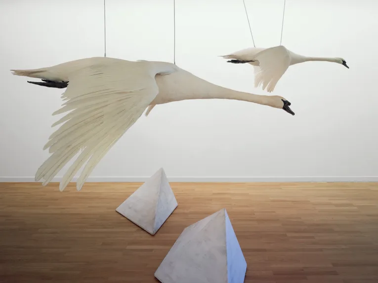 Zu sehen ist eine Kunstinstallation von Christiane Möbus: Zwei Schwanenfiguren sind an der Decke befestigt und es sieht so aus, als ob die Beton-Pyramiden fliegen würden.