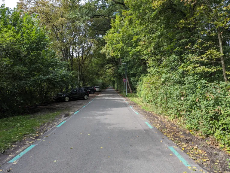 ein asphaltierter Weg, an den Seiten B&auml;ume, Geb&uuml;sch, eine Stra&szlig;enlaterne und parkende Autos