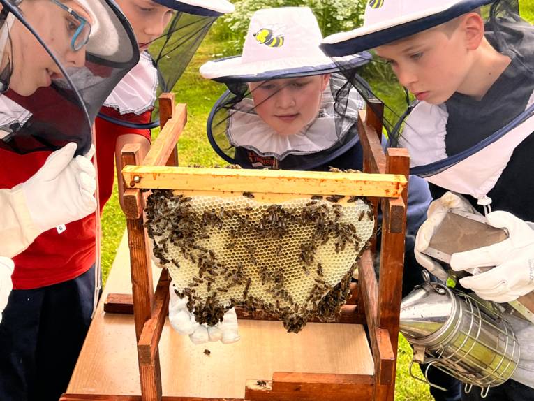 Vier Personen vor einem Bienenstock.