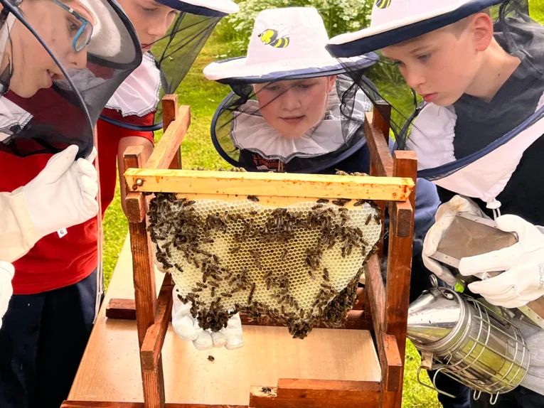 Vier Personen vor einem Bienenstock.