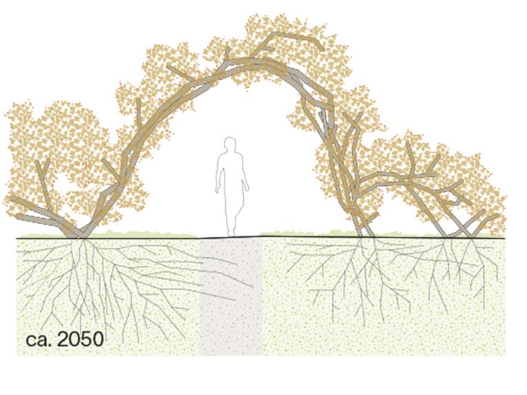 Der Laubengang tr&auml;gt sich schlie&szlig;lich selbst.