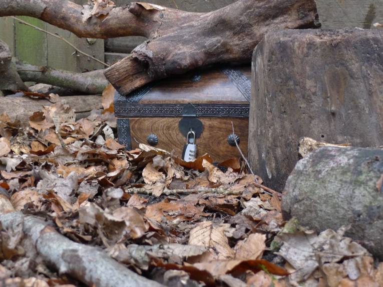 Eine Holztruhe mit Eisenbeschlägen steht zwischen Laub und dicken Ästen. Die Schatztruhe ist mit einem Zahlenschloss gesichert.