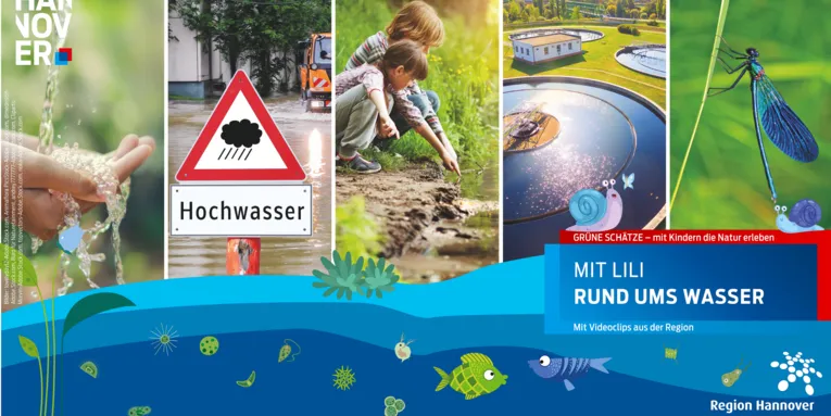 Kollage aus Fotos und gezeichneten Elementen rund um das Thema Wasser
