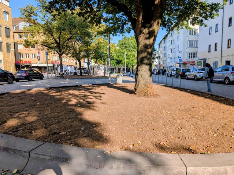 Eine Baumscheibe auf einem öffentlichen Platz.