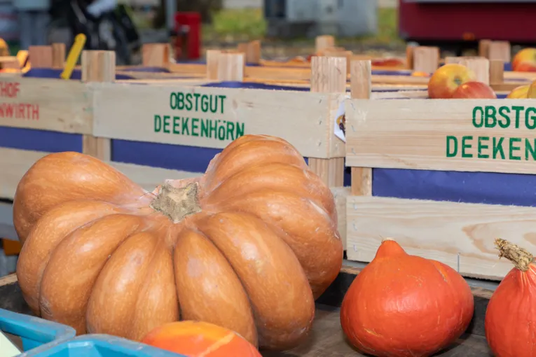 K&uuml;rbisse und &Auml;pfel  werden auf dem Wochenmarkt angeboten.
