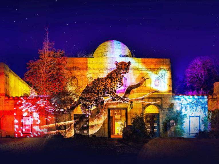 Der Palast im Zoo Hannover wird mit einem Bild einer Raubkatze beleuchtet.