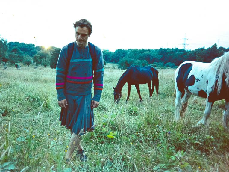 Ein junger Mann auf einer Wiese. Im Hintergrund zwei Pferde