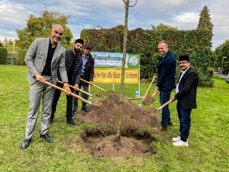 Fünf Personen beim Pflanzen eines Baums.
