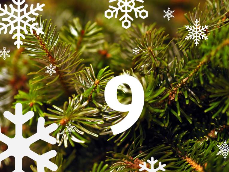 Grüne Äste und Zweige eines Tannenbaums. Grafisch sind darüber Schneeflocken und die Ziffer "9" gelegt.