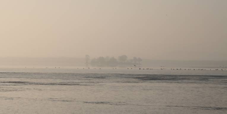 Blick &uuml;ber das Steinhuder Meer auf Insel Wilhelmstein, schemenhaft zu erkennen.