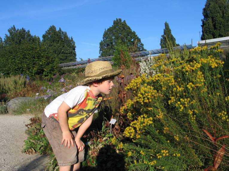 Werdet Grünforschende