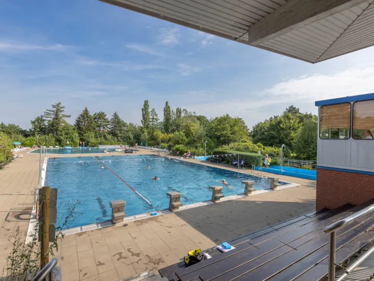 Schwimmbecken mit Startbl&ouml;cken