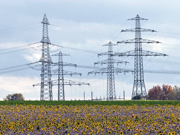 Masten für Stromleitungen vor blauem Himmel, davor wachsen Sonnenblumen.