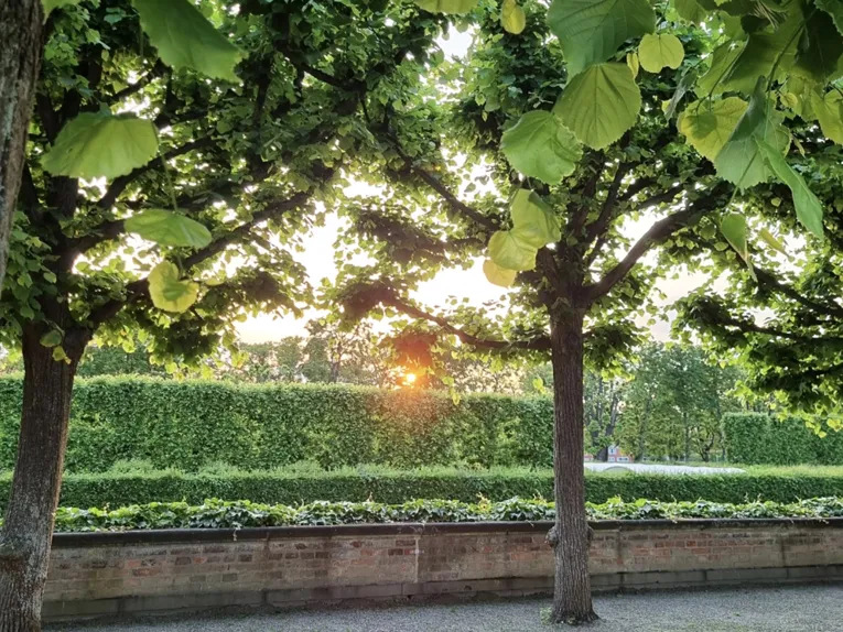 Ein schattiges Pl&auml;tzchen im Gr&uuml;nen.
