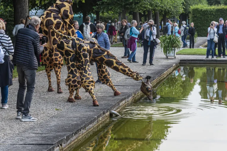 Teatro Pavana_Giraffe beim kleinen Fest in den Herrenhäuser Gärten