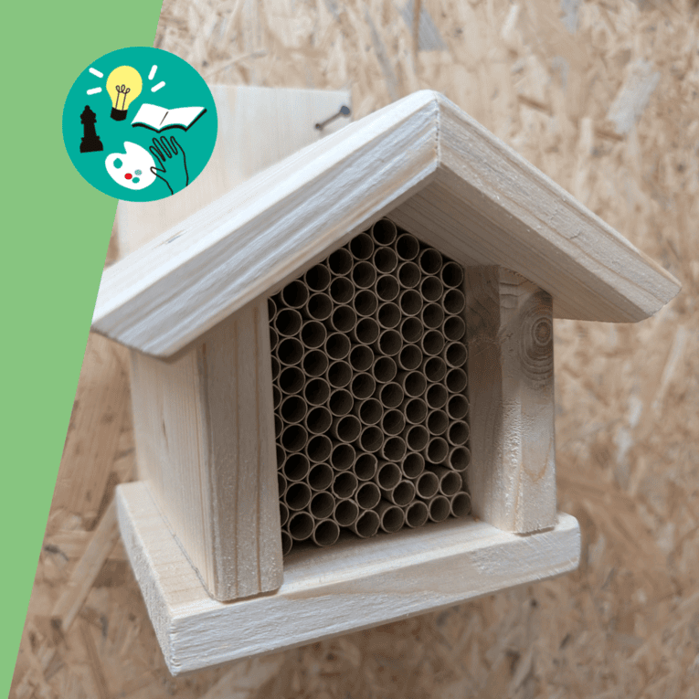 Vieles über Wildbienen