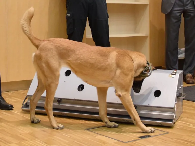 Ein Hund steht vor einem länglichen, silbergrauen Behälter.