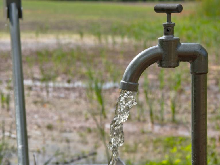 Wasser fließt aus einem Wasserhahn. Im Hintergrund sind Pflanzen auf einem Feld.
