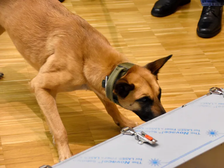 Ein Hund schnüffelt an einem länglichen, silbergrauen Behälter.
